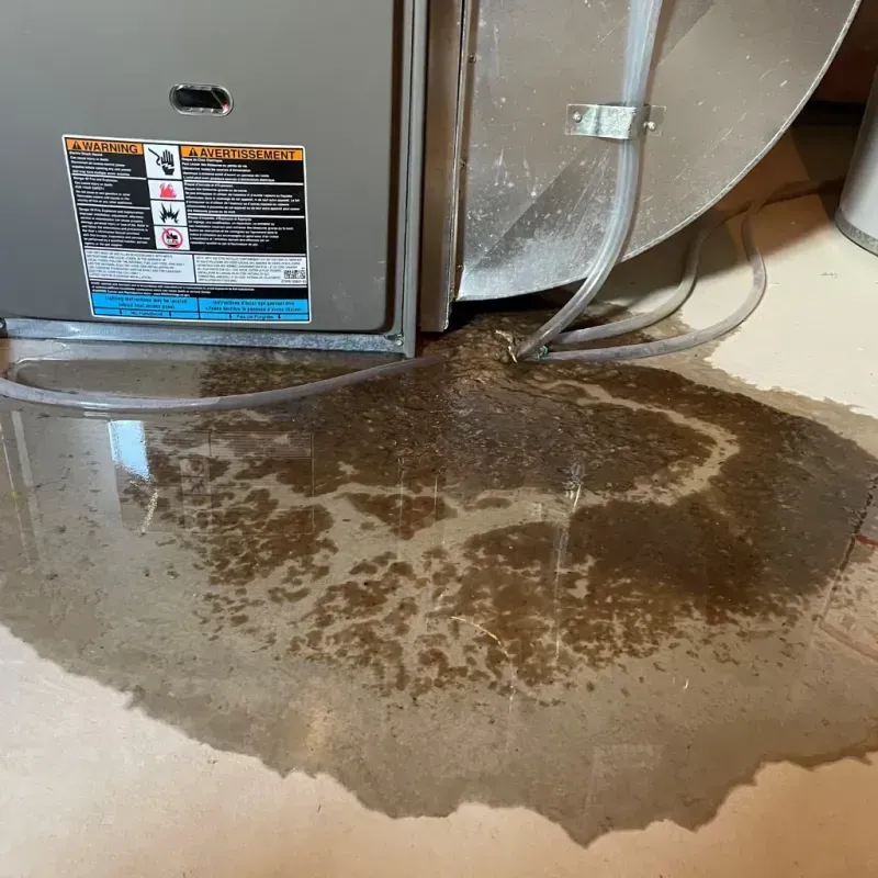 Appliance Leak Cleanup in Elmsford, NY